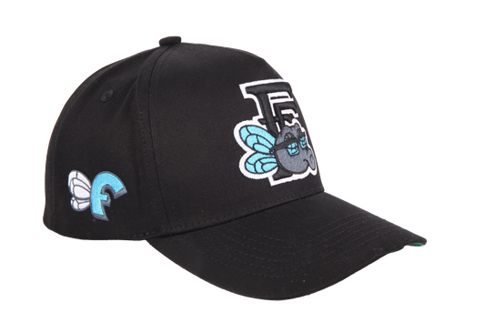 Fashionably Flyers Snapback