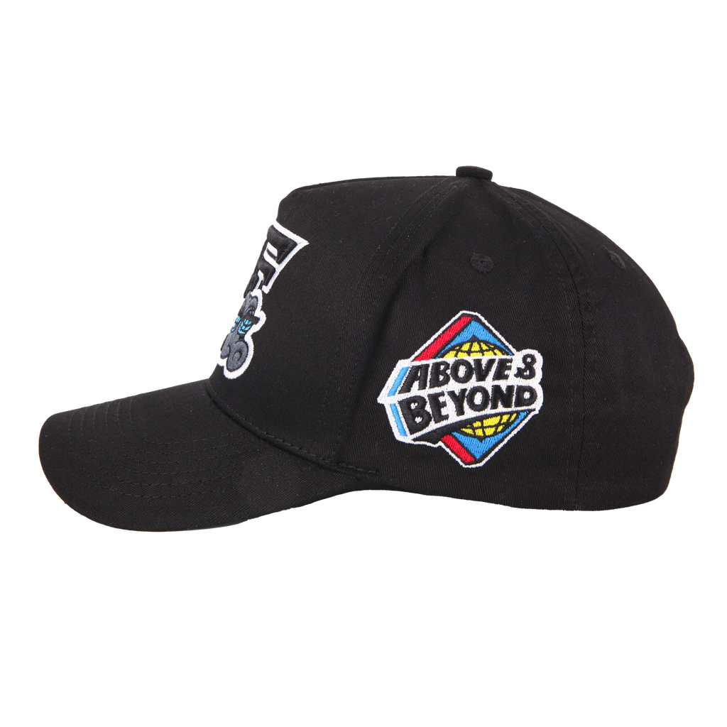 Fashionably Flyers Snapback