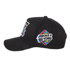 Fashionably Flyers Snapback