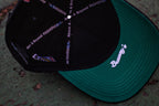 Fashionably Flyers Snapback